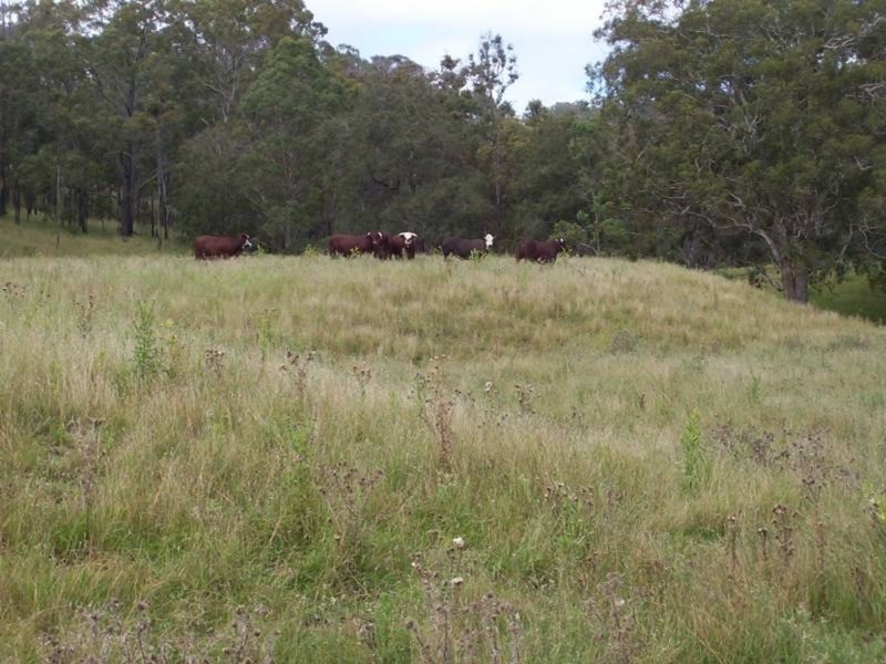 Wengenville QLD 4615