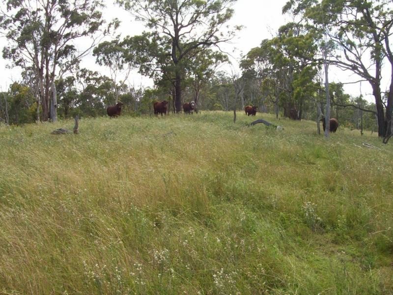 Wengenville QLD 4615