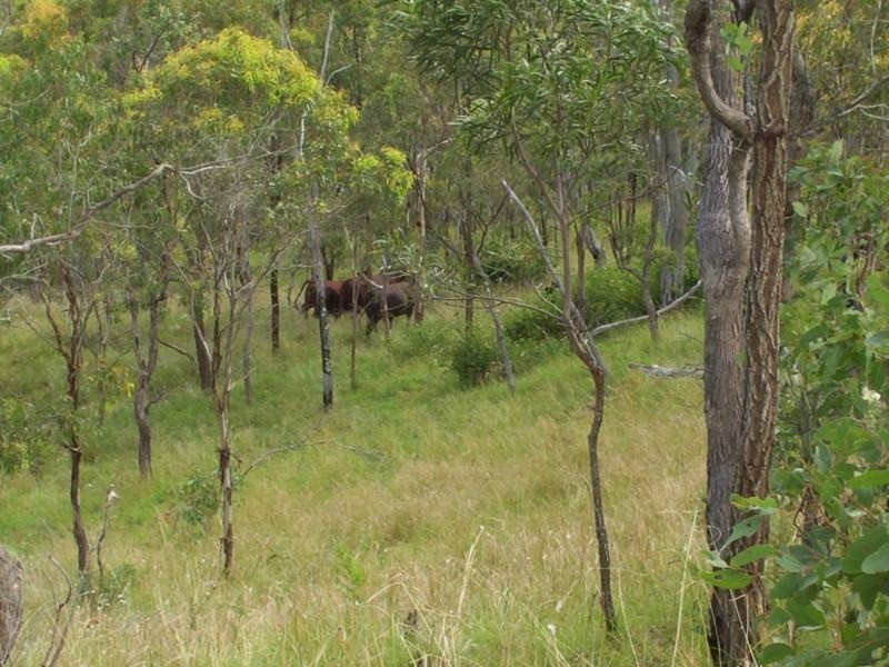 Wengenville QLD 4615