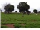 Booie QLD 4610
