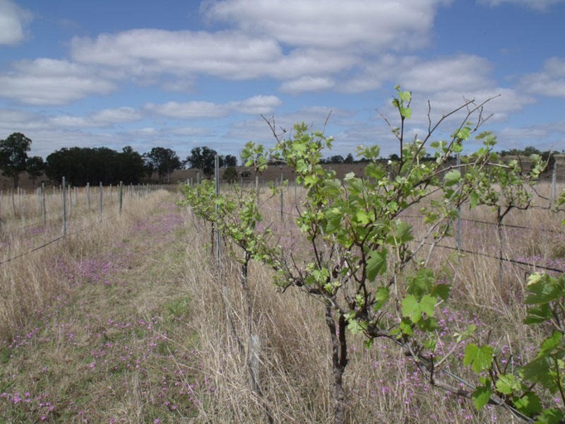 Kingaroy QLD 4610