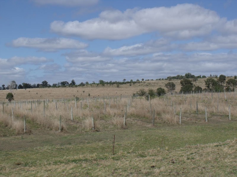 Kingaroy QLD 4610