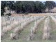 Kingaroy QLD 4610