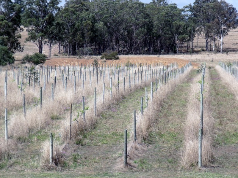 Kingaroy QLD 4610