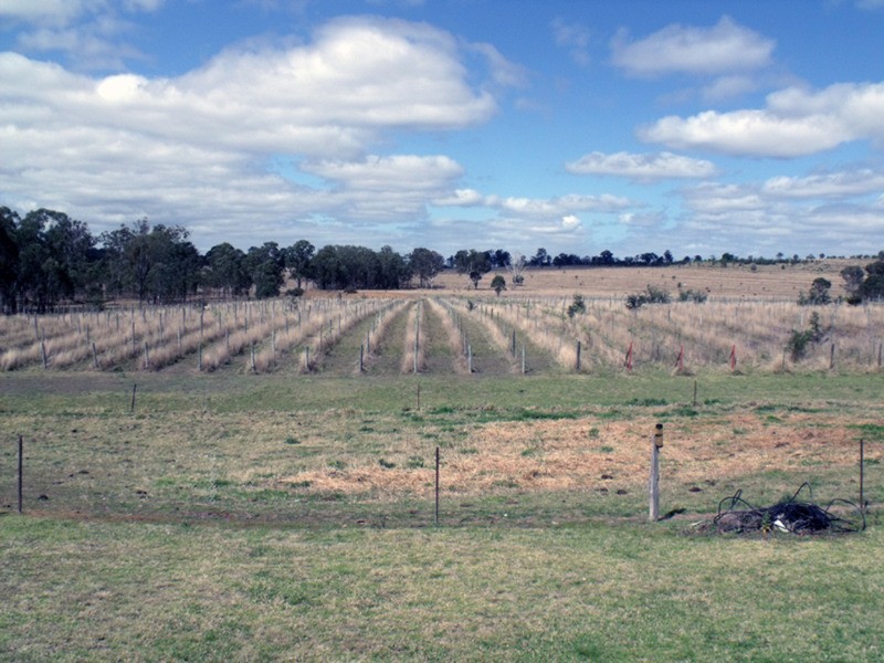 Kingaroy QLD 4610