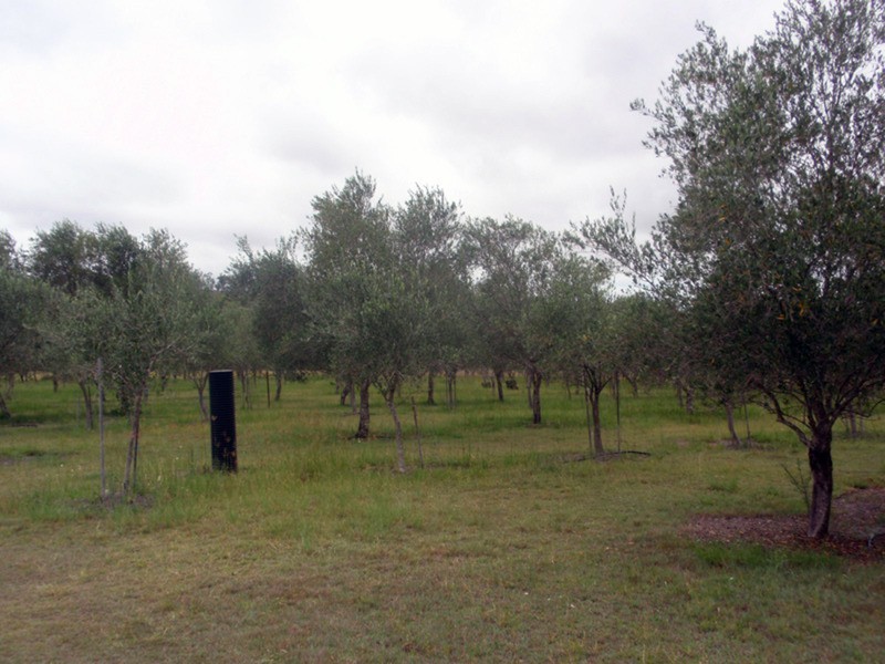 Wilkesdale QLD 4608