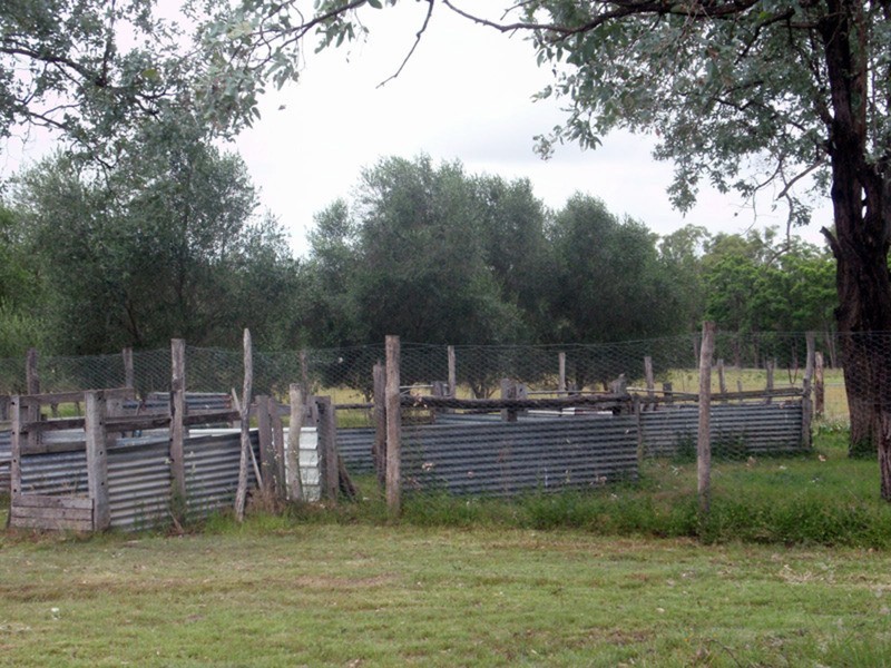 Wilkesdale QLD 4608