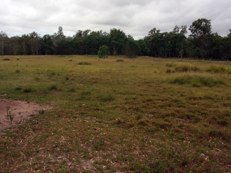 Wilkesdale QLD 4608