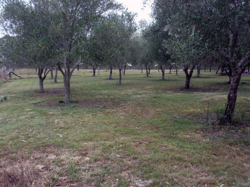 Wilkesdale QLD 4608