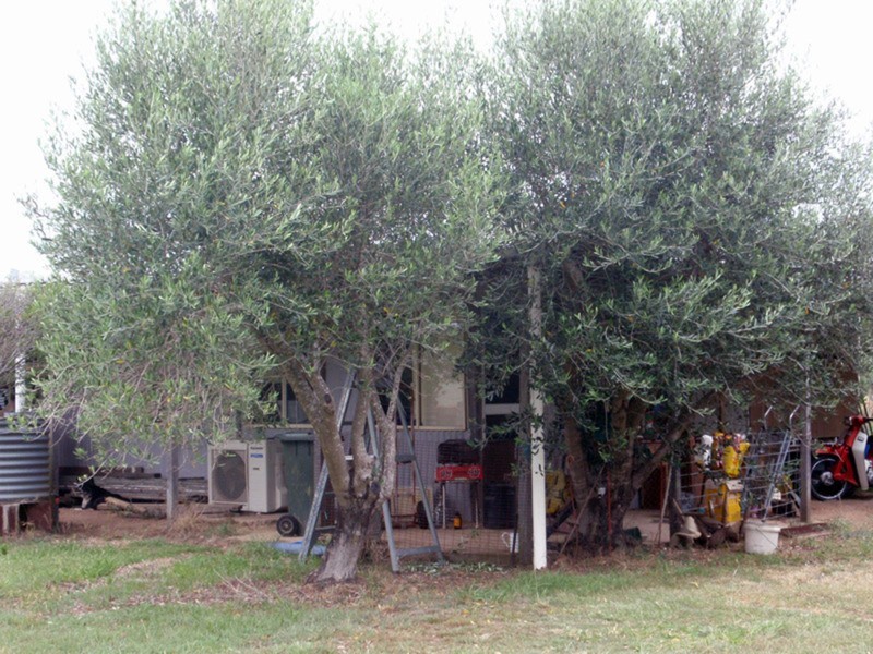 Wilkesdale QLD 4608