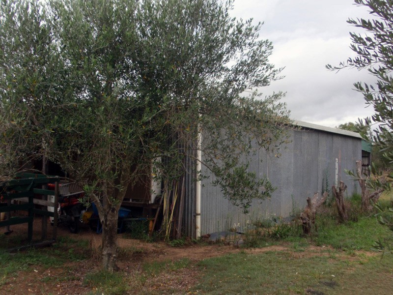 Wilkesdale QLD 4608