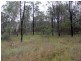 Wattle Camp QLD 4615