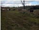 Nanango QLD 4615