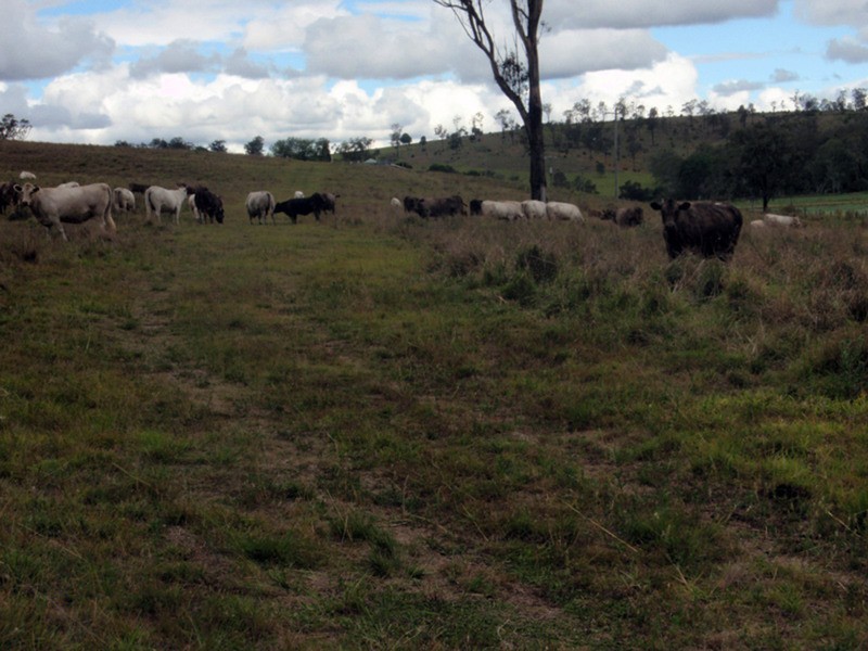 Nanango QLD 4615