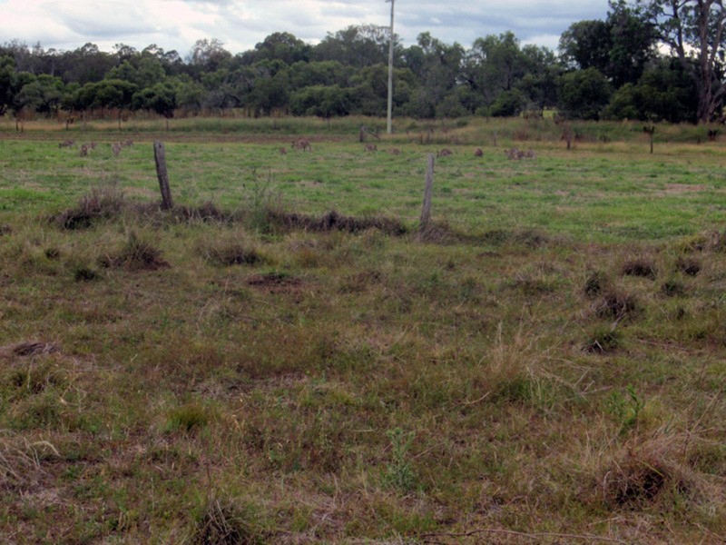 Nanango QLD 4615