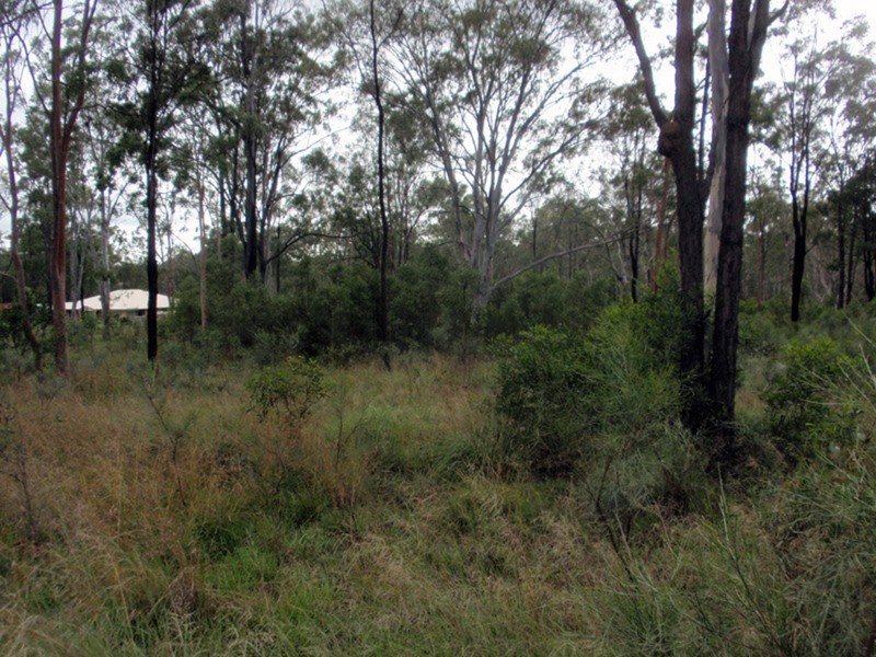 Wattle Camp QLD 4615