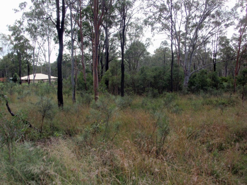 Wattle Camp QLD 4615