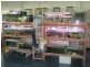 Kingaroy QLD 4610