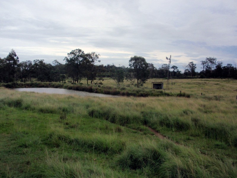 Wattle Grove QLD 4610