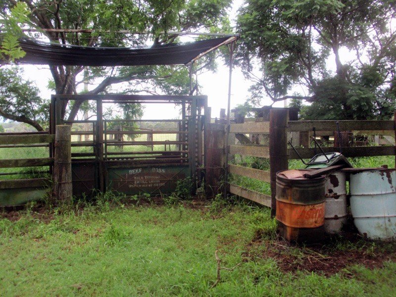 Wattle Grove QLD 4610