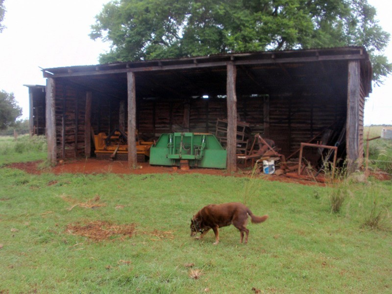 Wattle Grove QLD 4610