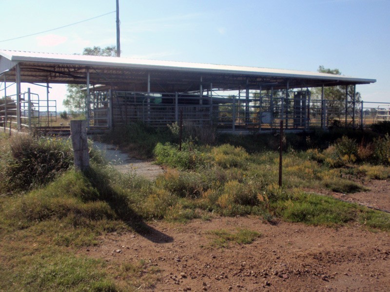 Wheatlands QLD 4606