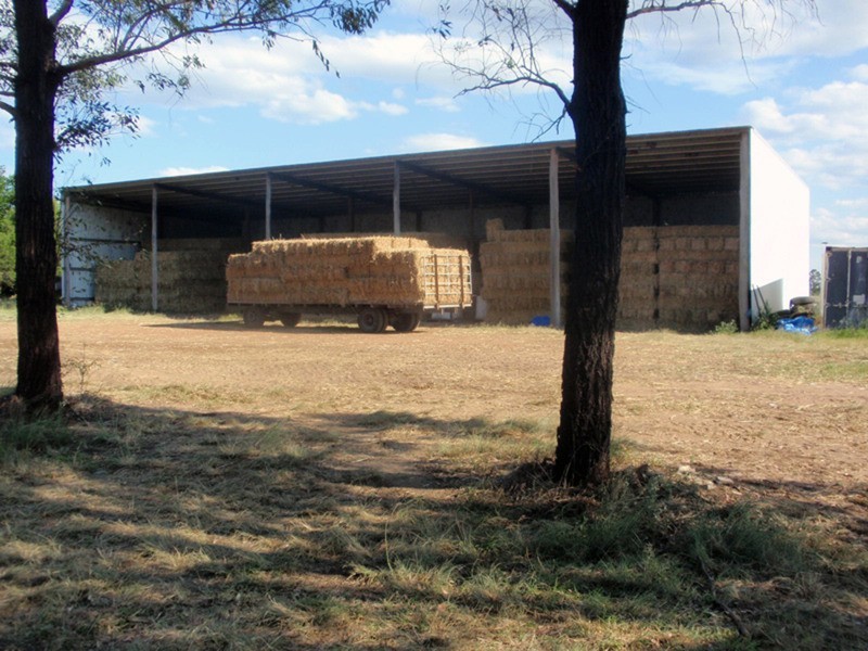 Wheatlands QLD 4606