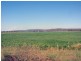 Wheatlands QLD 4606