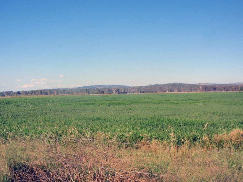 Wheatlands QLD 4606