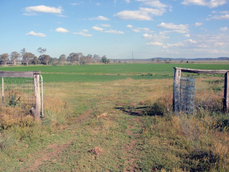 Wheatlands QLD 4606