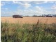 Wheatlands QLD 4606