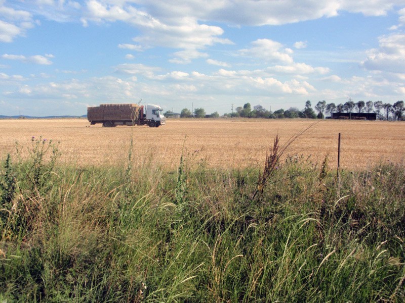 Wheatlands QLD 4606