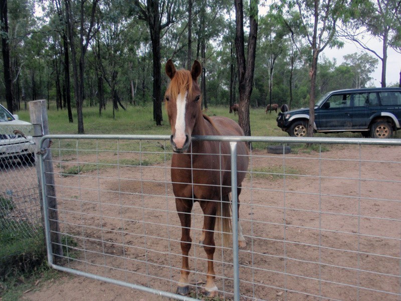 Ballogie QLD 4610