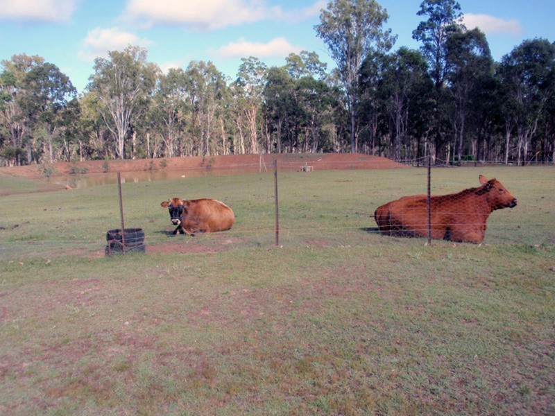 Wattle Camp QLD 4615
