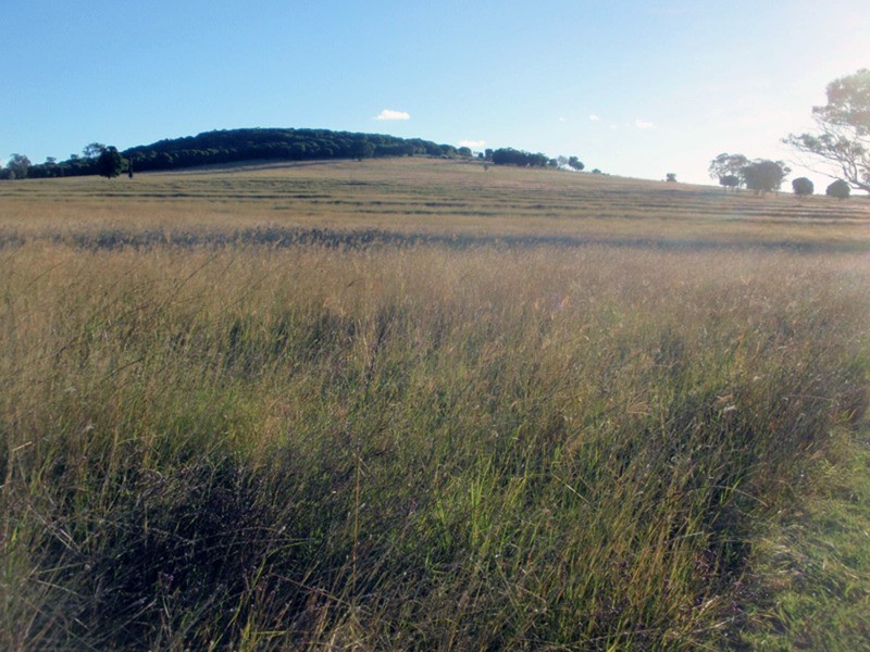 Booie QLD 4610