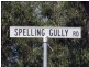 Googa Creek QLD 4306