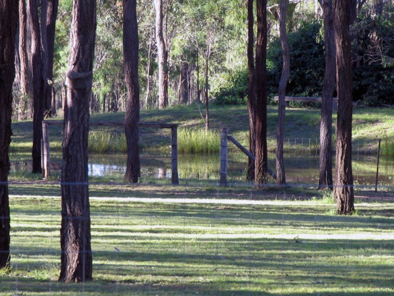 87 Thompsons Road, Nanango QLD 4615
