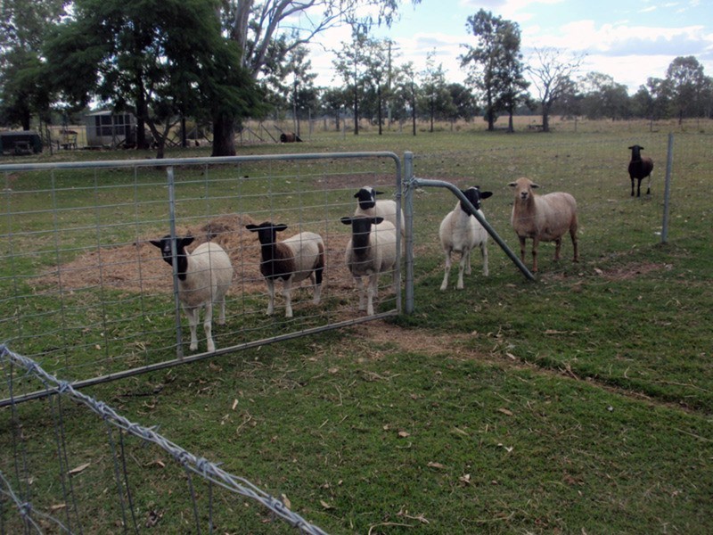 Mondure QLD 4611