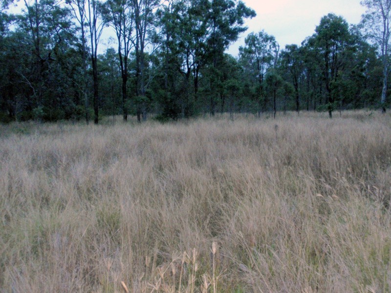 Runnymede QLD 4615
