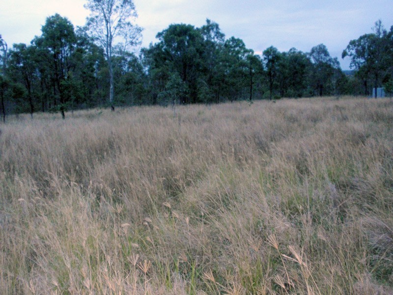 Runnymede QLD 4615