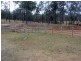 Runnymede QLD 4615