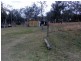 Runnymede QLD 4615