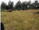 Coolabunia QLD 4610