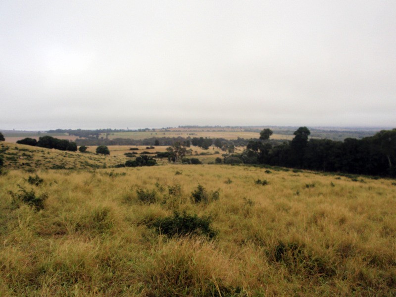Coolabunia QLD 4610