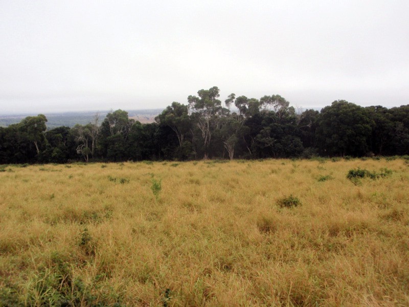 Coolabunia QLD 4610