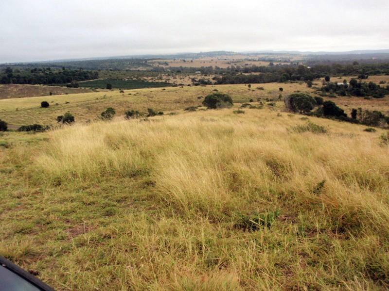 Coolabunia QLD 4610