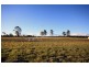Kingaroy QLD 4610