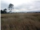 Wooroolin QLD 4608