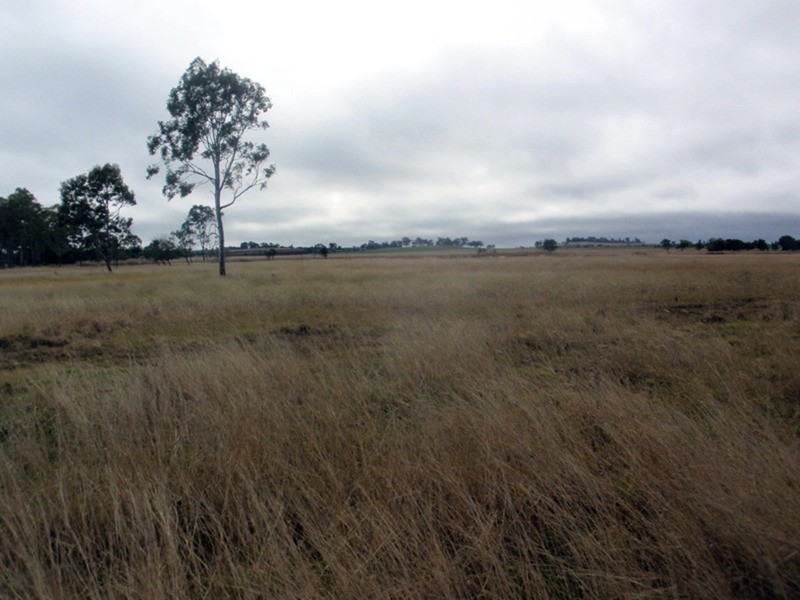 Wooroolin QLD 4608