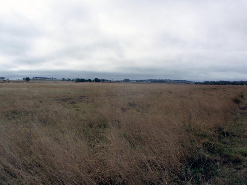 Wooroolin QLD 4608